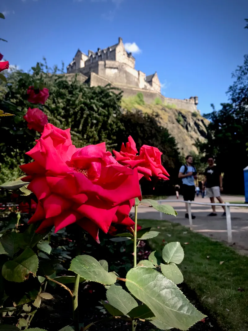Edinburgh For A While, photograph 57 of 92