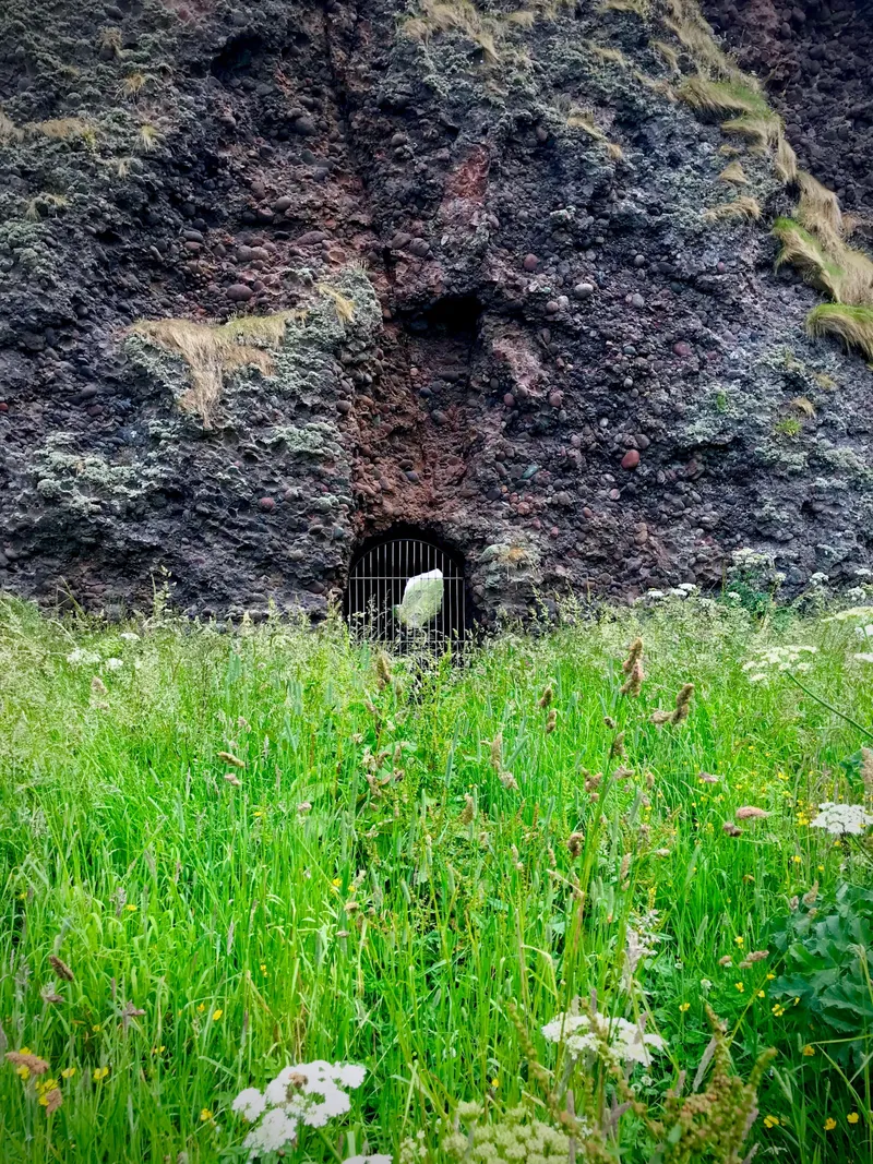 Edinburgh For A While, photograph 79 of 92