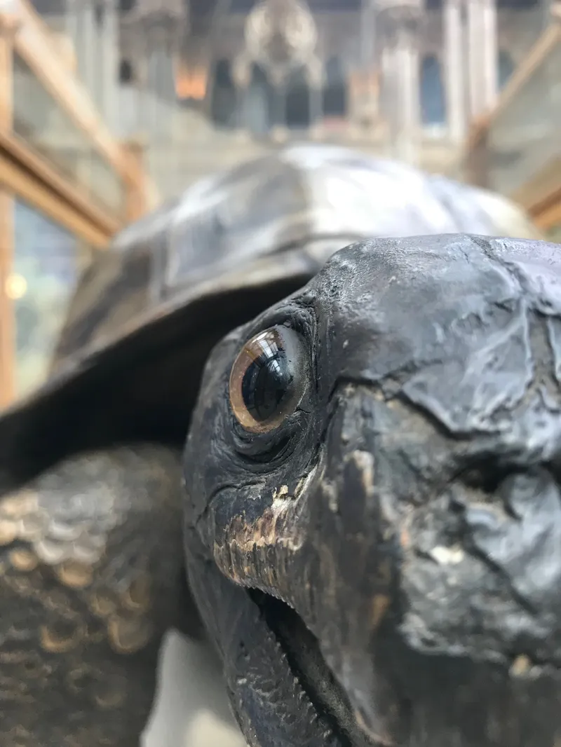 Oxford, photograph 26 of 28