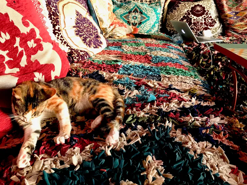 Morocco Part 1, photograph 6 of 31