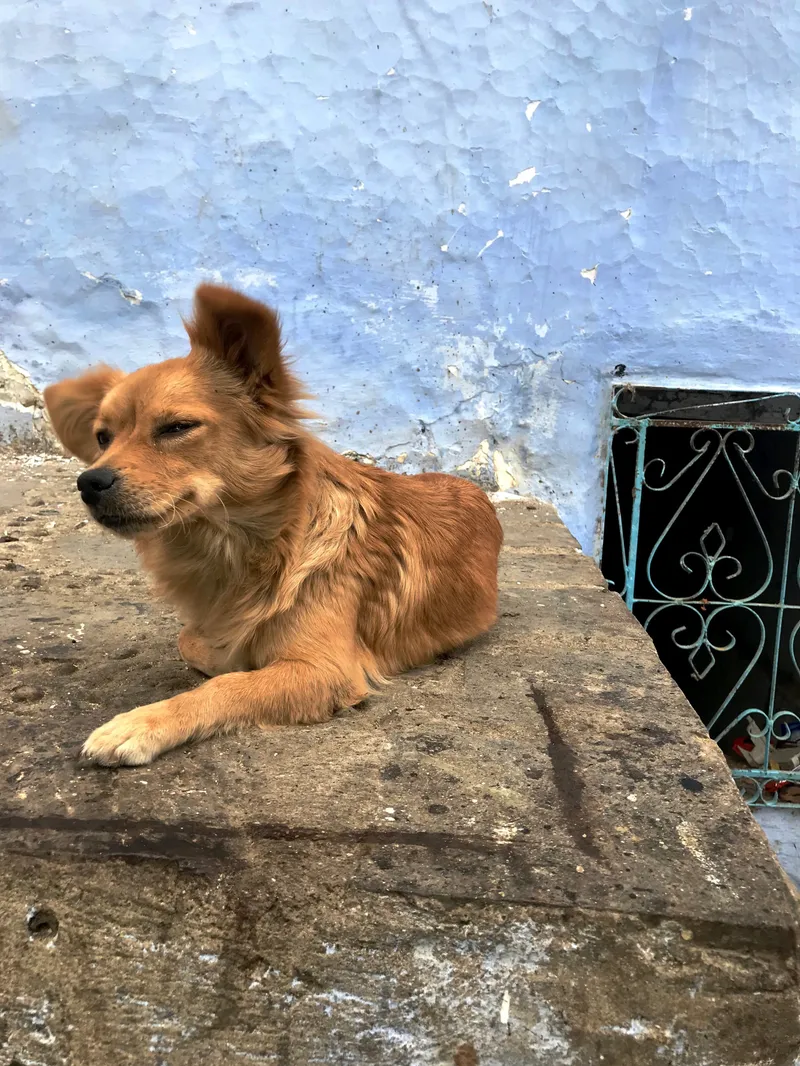 Morocco Part 2, photograph 25 of 48