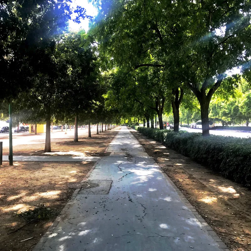 Sevilla, photograph 7 of 77