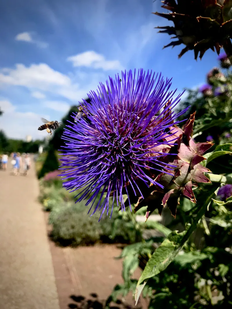 London (and Northampton), photograph 137 of 181