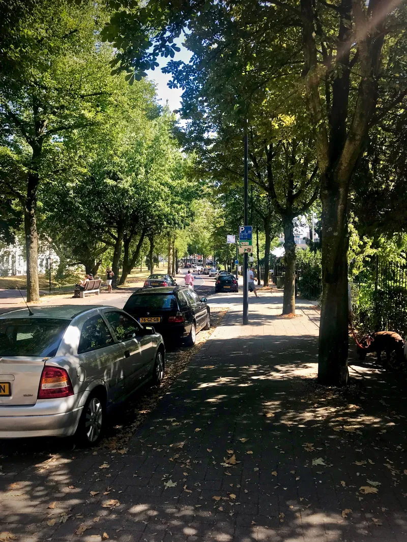 Rotterdam, photograph 3 of 48