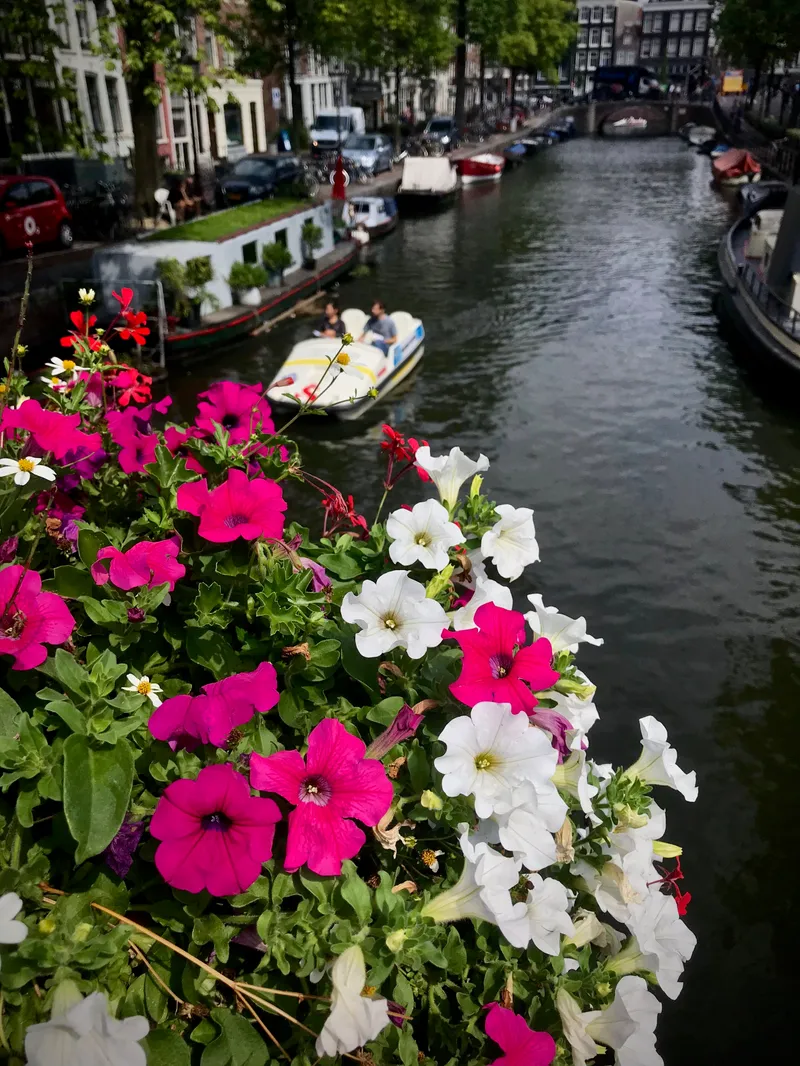 Amsterdam, photograph 45 of 94