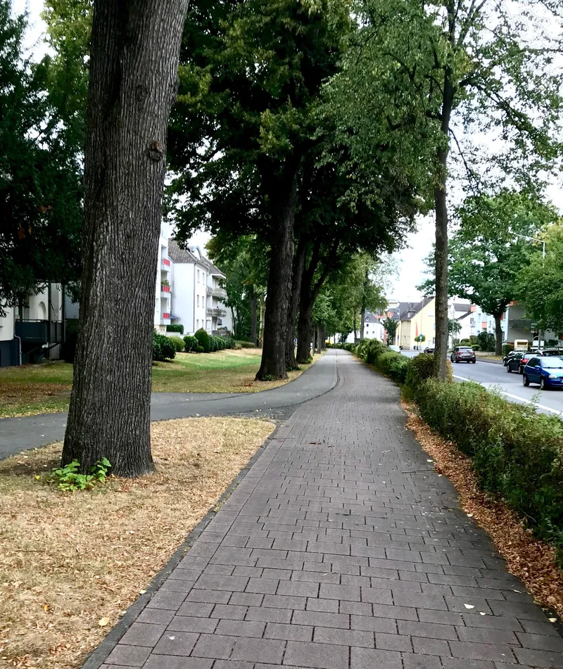 Visiting Raoul in Paderborn, photograph 16 of 20